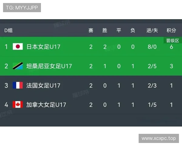 世界杯D组土耳其战绩：一胜两负排名第四