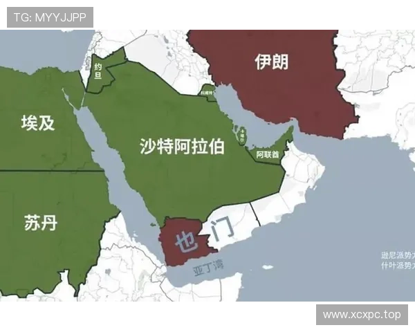 伊朗对埃及战报:补时进球被取消成焦点 伊朗对埃及战报:补时进球被取消成焦点